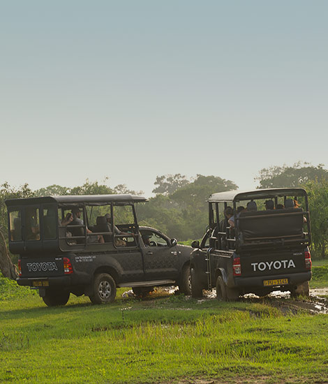 Scenic Adventure Excursions