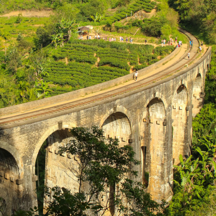Hiking in Ella, Sri Lanka: A Complete Guide to the Best Ella Hiking Trails