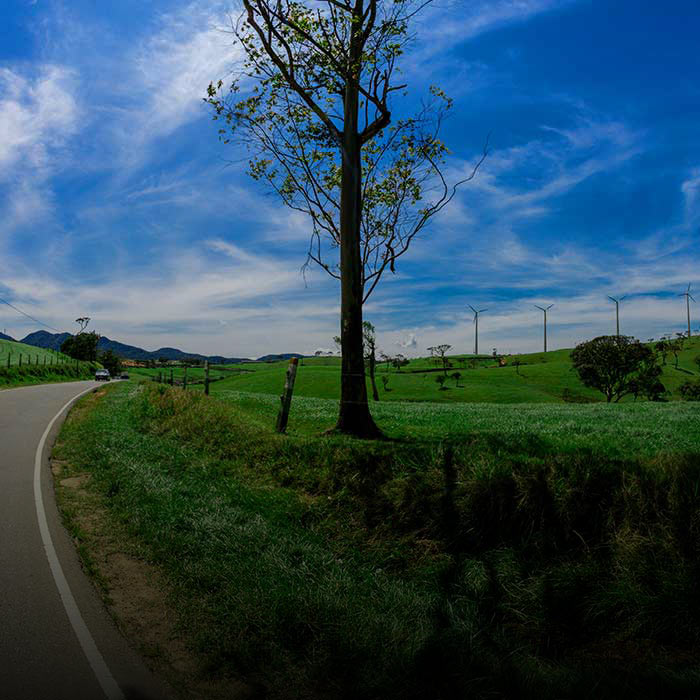Traveling To Nuwara Eliya