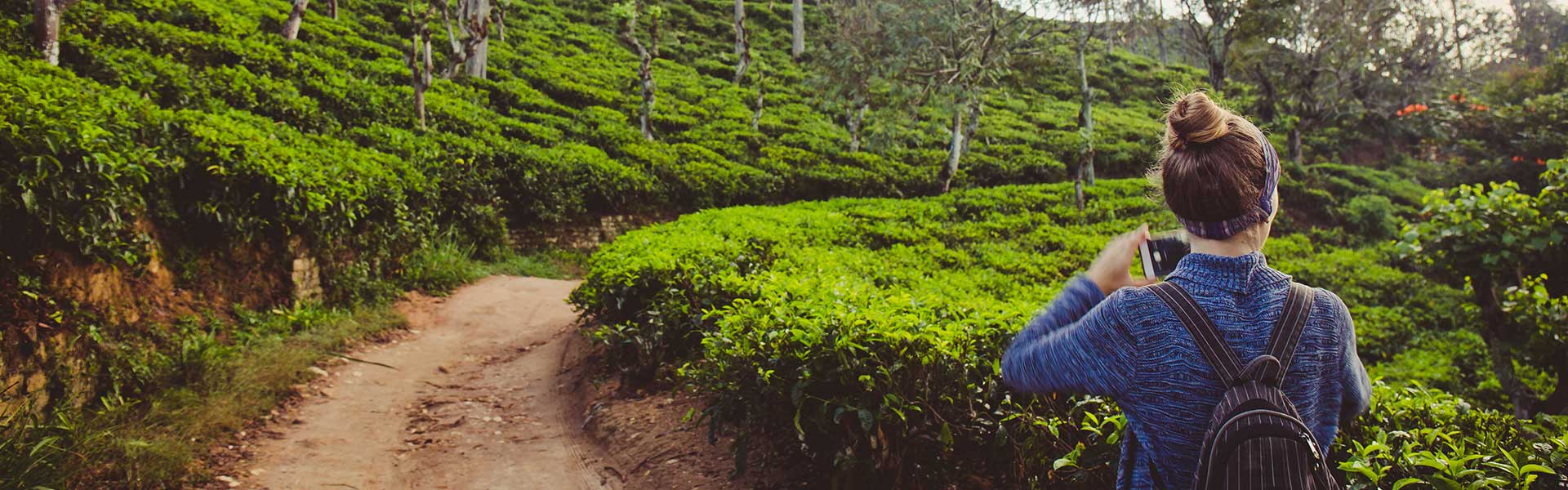 Experiences in Ella