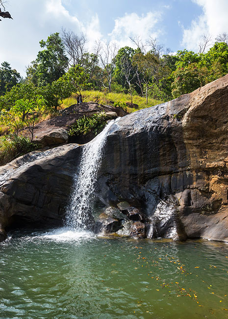 Visit Waterfalls