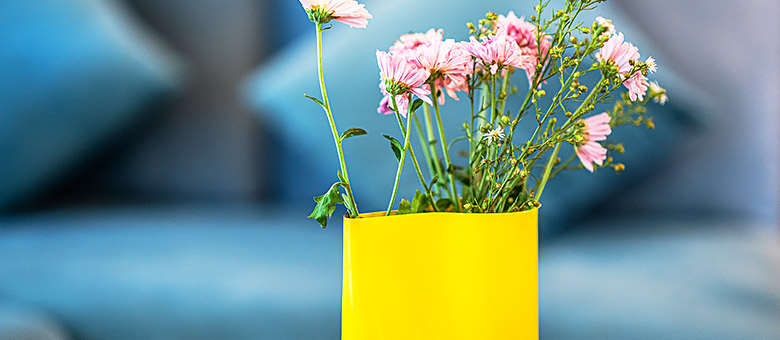 flowers pot