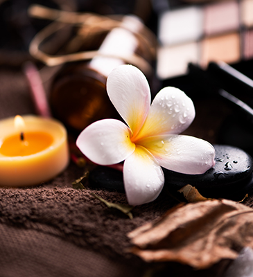 Wellness at Ella