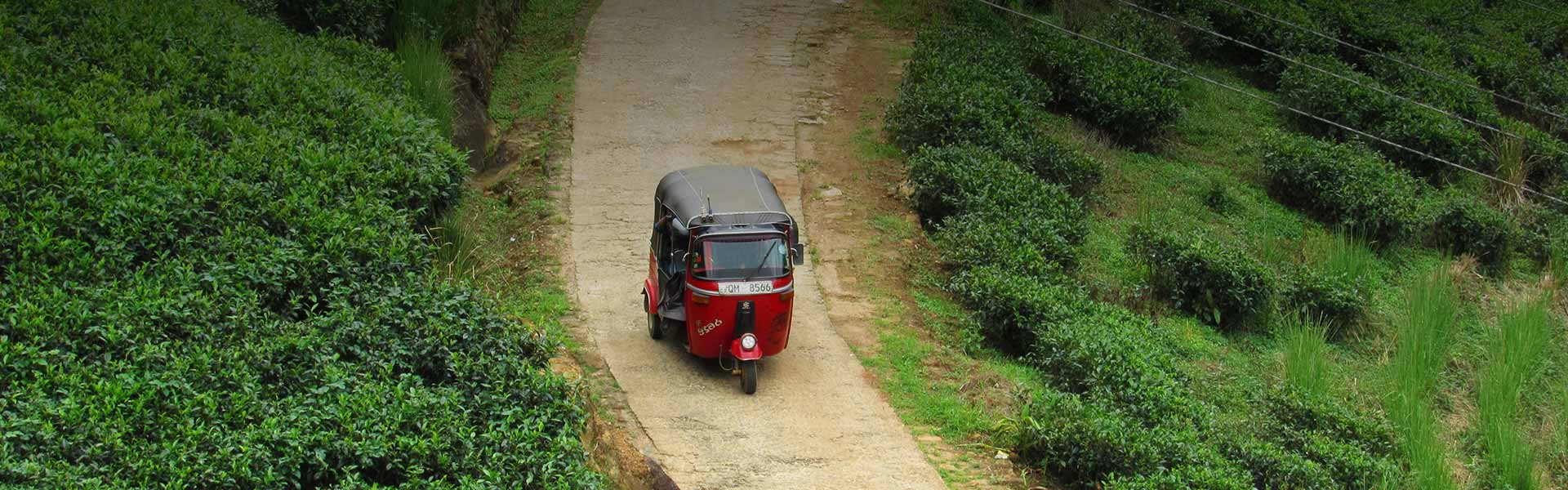 Tuk Tuk Ride