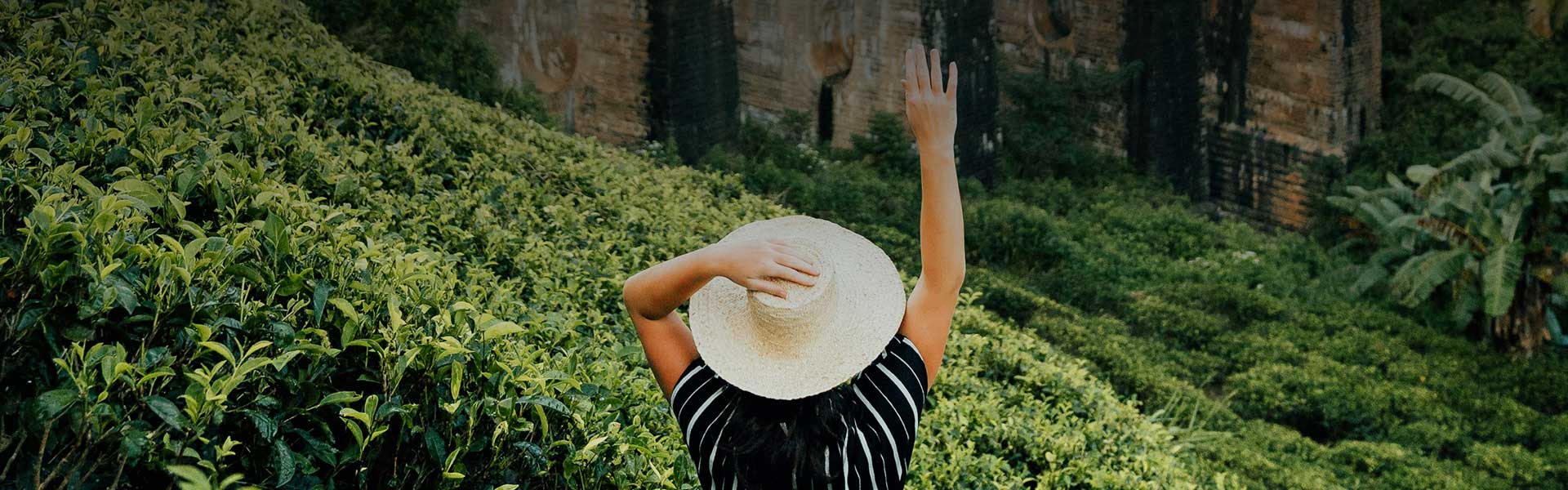 The OFF Beaten Experiences In Ella