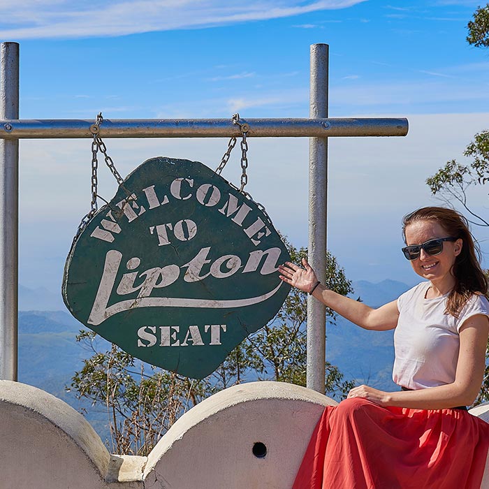 Lipton's Seat