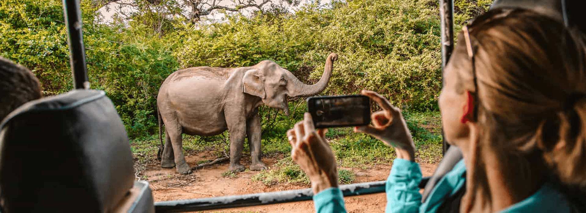 Yala National Park Safari Trip