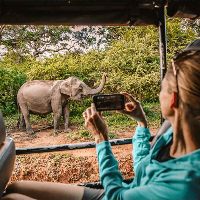 Yala National Park Safari Trip