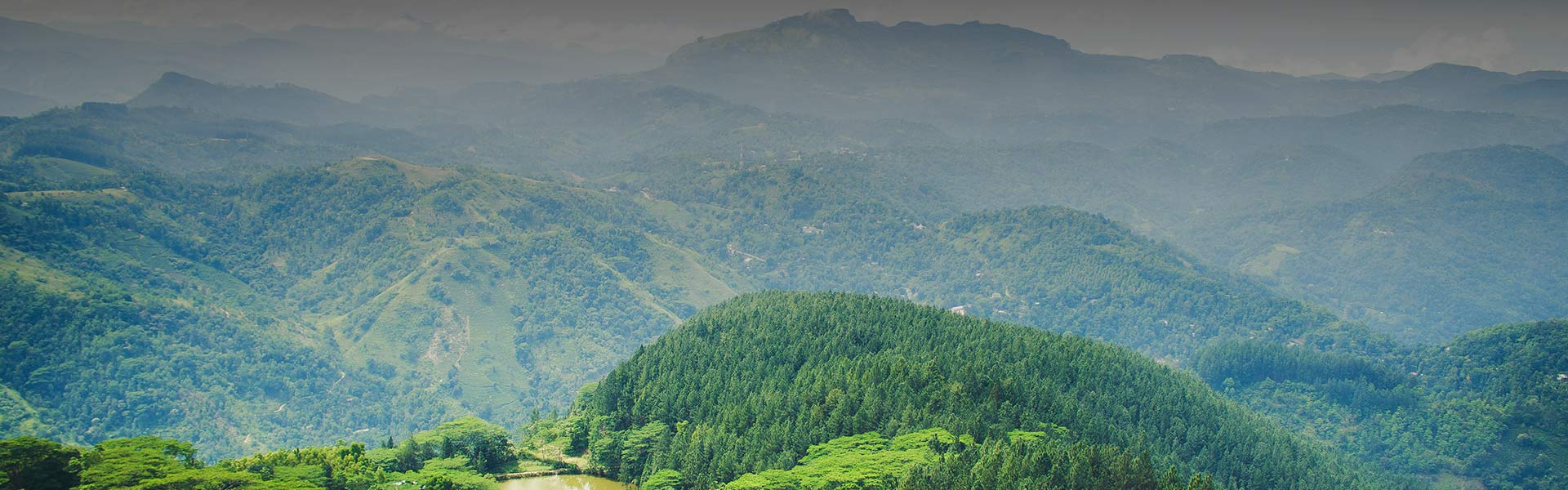 Adventures in Sri Lanka From Safari to Hiking 700x700