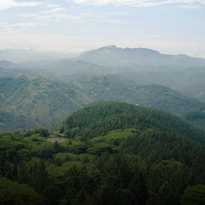 Adventures in Sri Lanka From Safari to Hiking