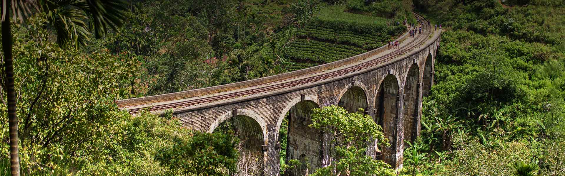 Best Attractions and Activities to Do in Ella, Sri Lanka