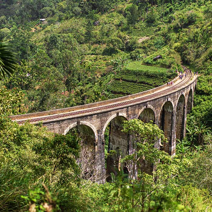 Best Attractions and Activities to Do in Ella, Sri Lanka