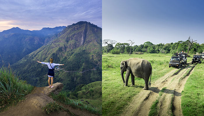 Adventure & Wildlife Family Journey