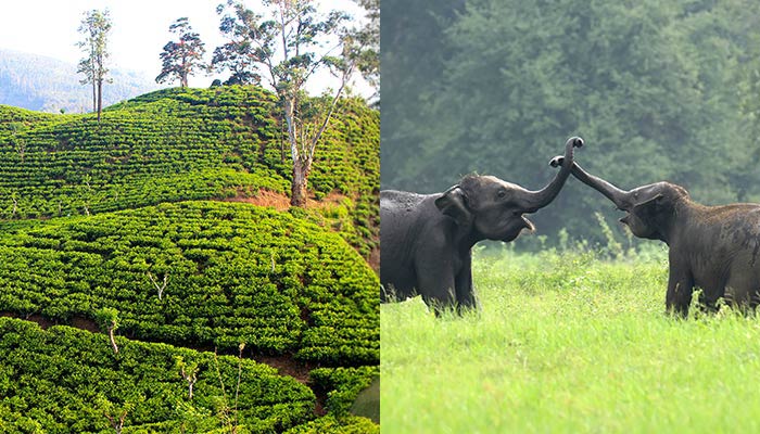 Wild & Hills Journey offer
