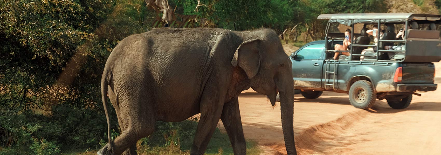 Adventure & Wildlife Safari