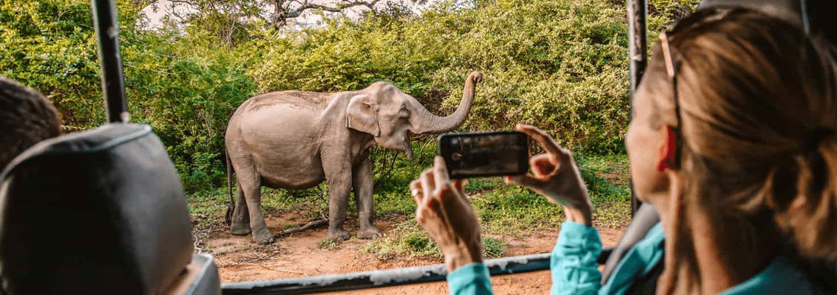 Adventure & Wildlife Safari