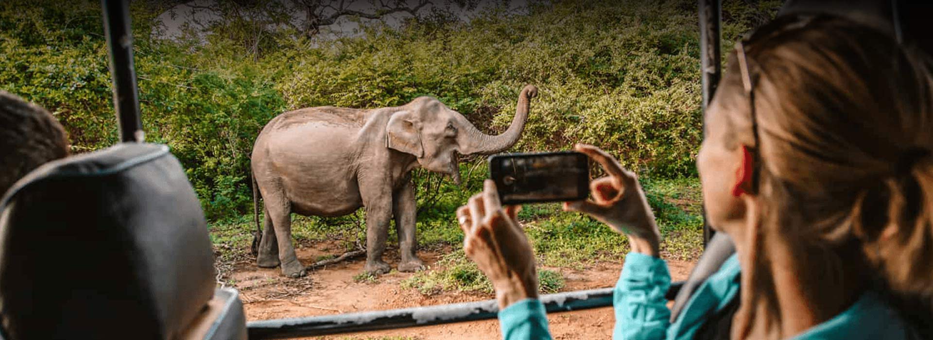 Adventure & Wildlife Safari