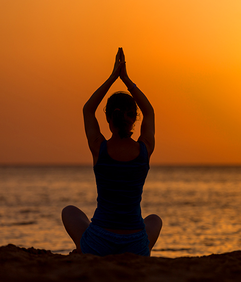 Yoga & Meditation in the Wild
