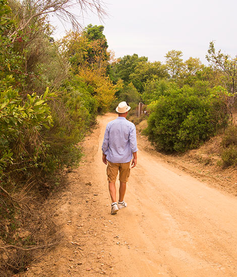 Nature Walks