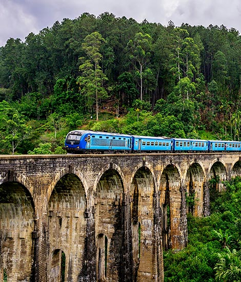 Scenic Adventure Excursions