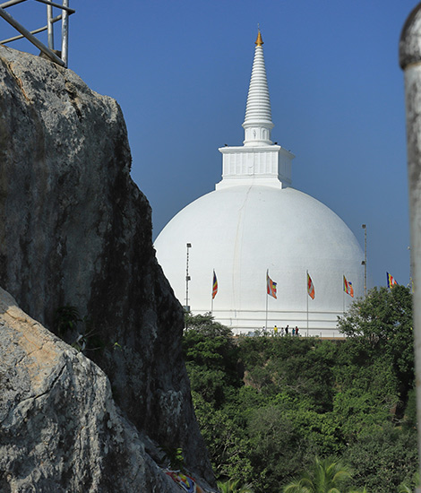 Wellness & Cultural Experiences