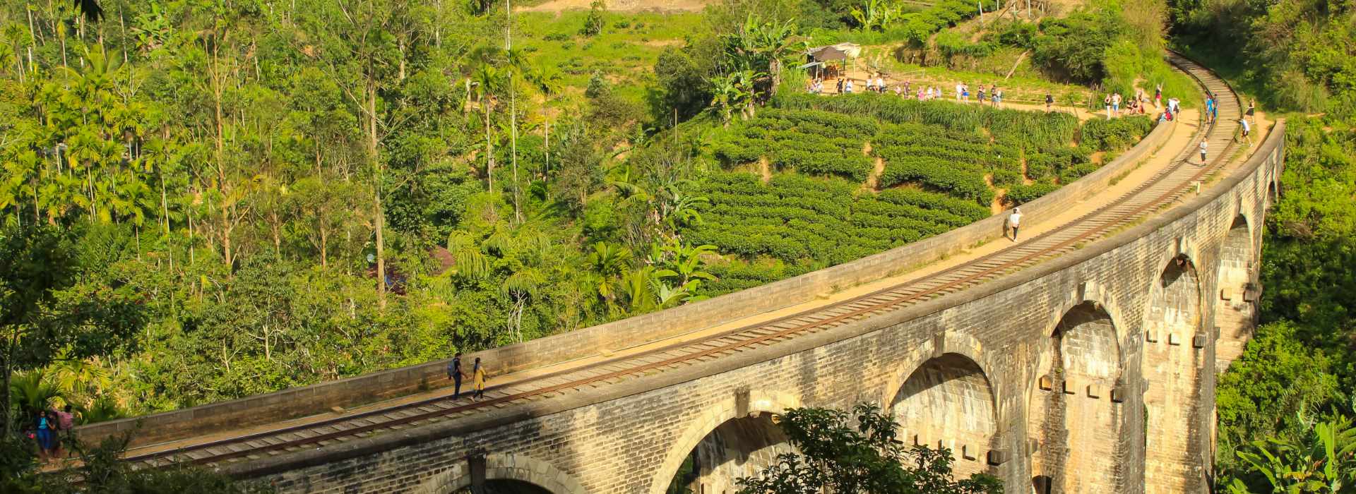 Hiking in Ella, Sri Lanka: A Complete Guide to the Best Ella Hiking Trails