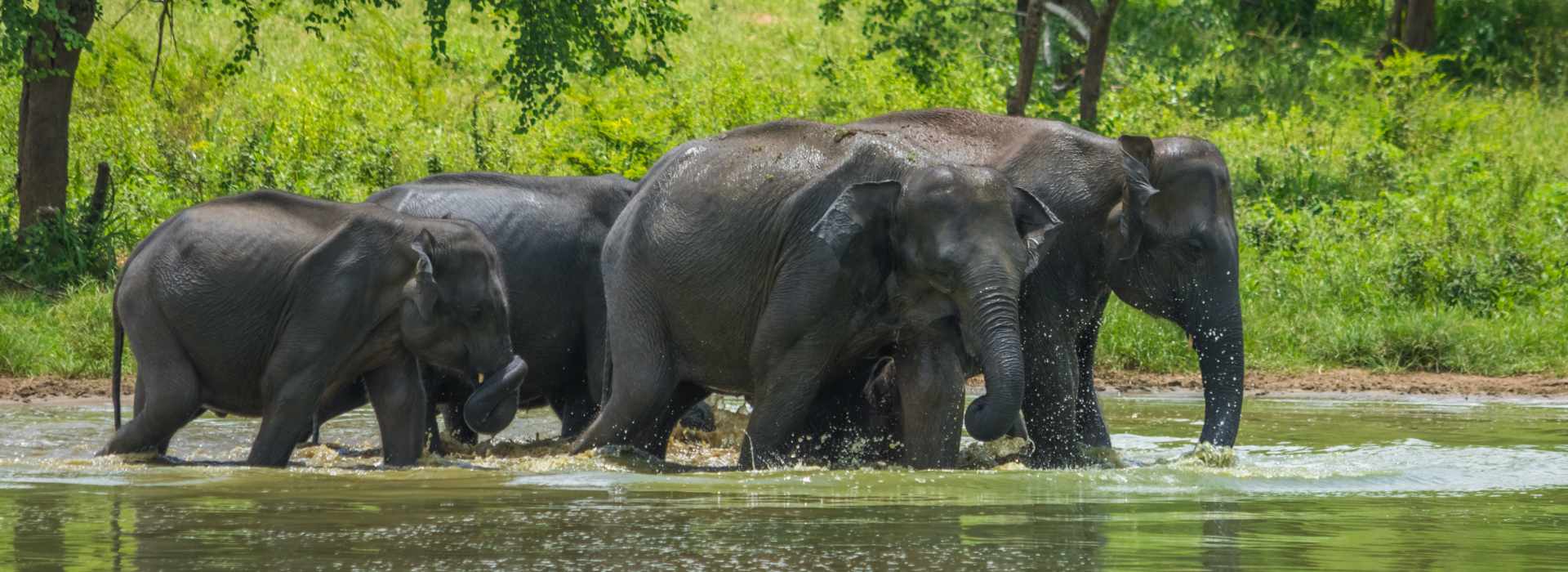 Sithulpawwa Rock Temple: A Sacred Heritage Site Near Yala National Park, Sri Lanka
