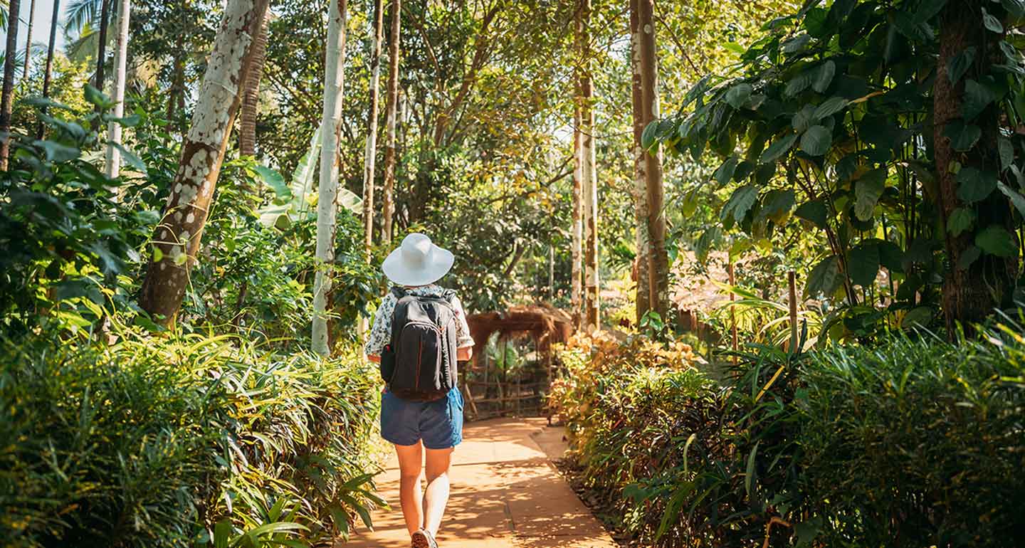 Nature Trails And Walks
