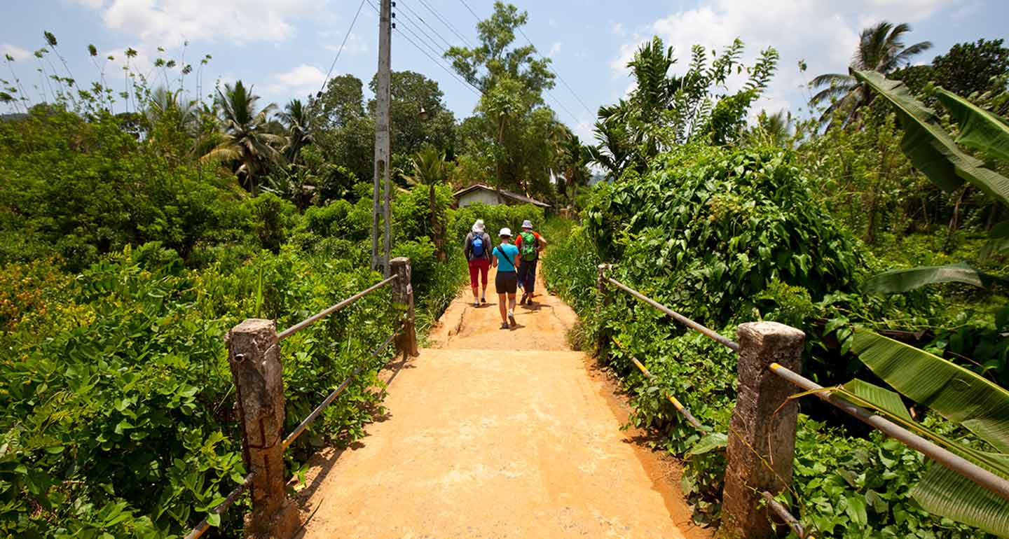 Nature Trails And Walks
