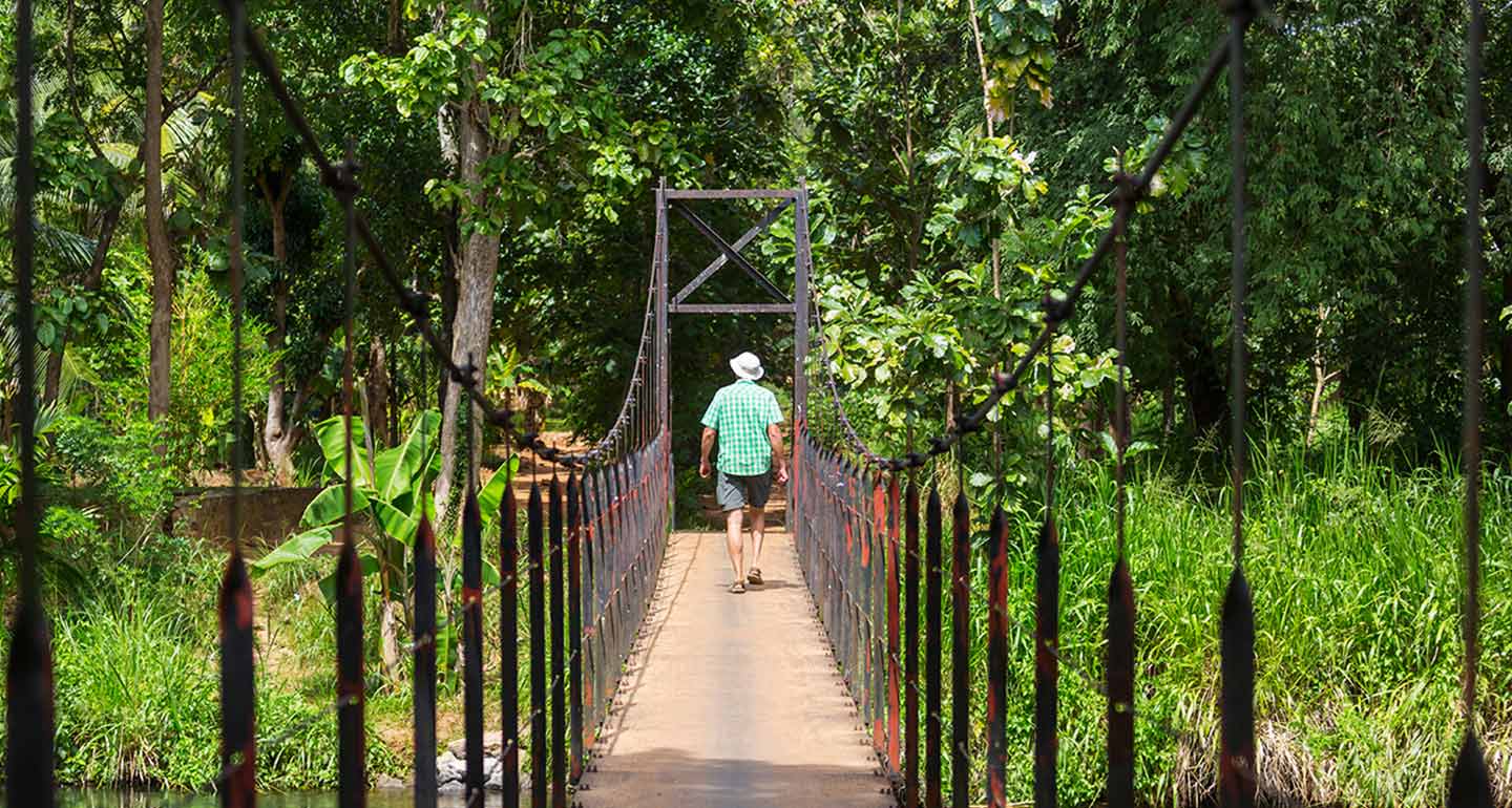 Nature Trails And Walks