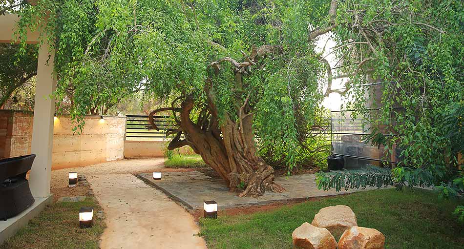 Exterior and Surroundings Yala