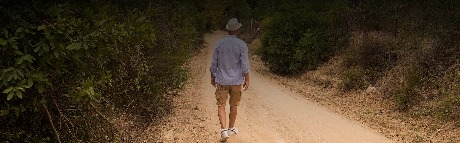 Nature Walks