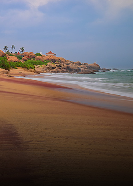 coastal area yala