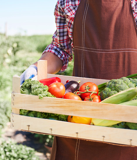 Sri Lanka’s Farm-to-Table Organic Dining