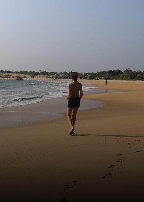 coastal area Yala