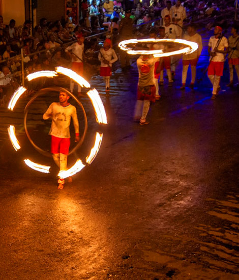 Things to Do in Yala