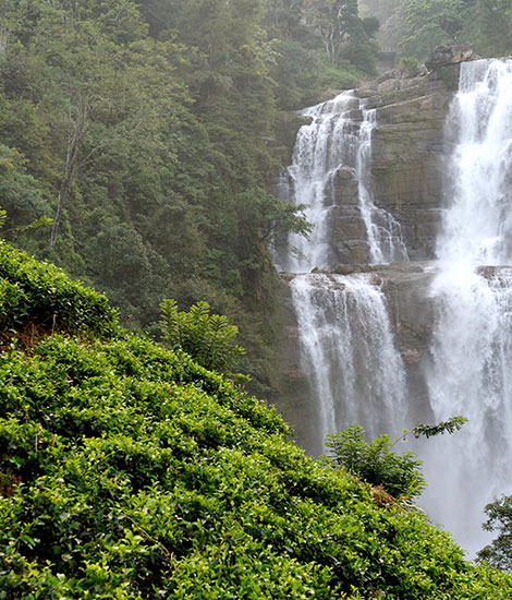 Things to Do in Yala