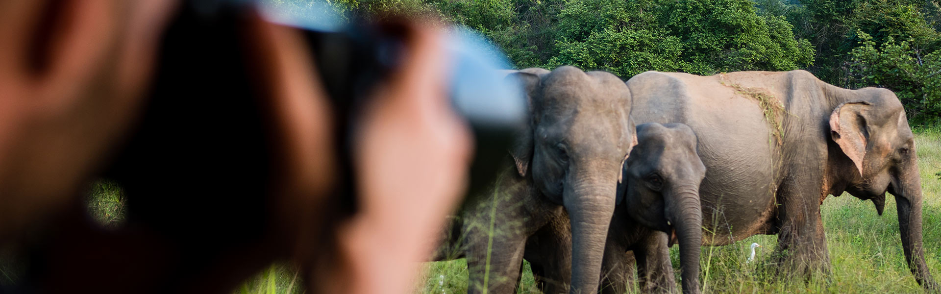 Photography Expedition